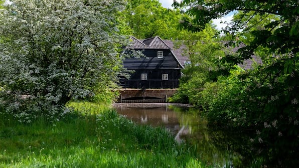 Umwelt - Hotel Rosveld Umwelt - Hotel Rosveld