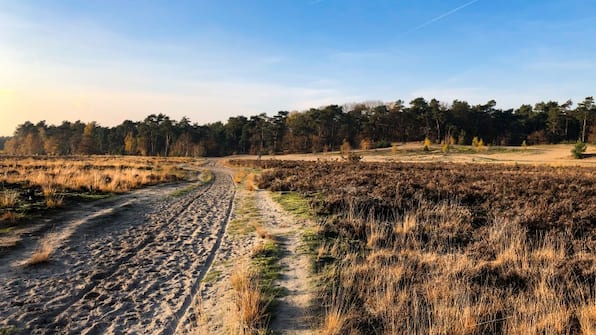 Loonse en Drunense Duinen - Gr8 Hotel Breda