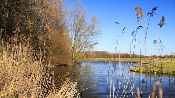 National Park Der Biesbosch - Gr8 Hotel Breda National Park Der Biesbosch - Gr8 Hotel Breda