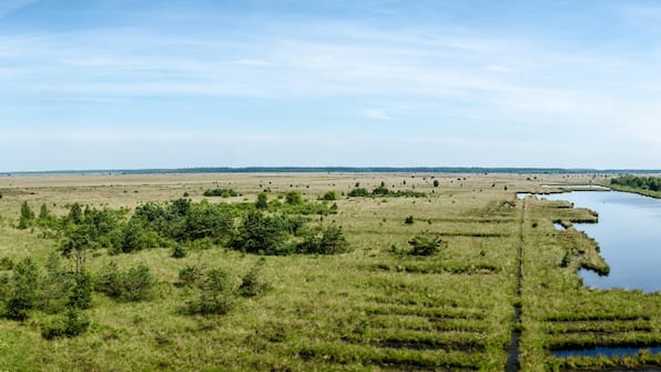 Omgeving - Vodatent Camping Natuurlijk de Veenhoop