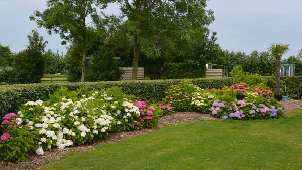 Camping  - Vodatent Camping de Tulpenweide