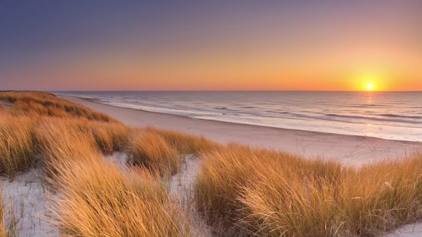 Omgeving - Hotel op Diek - Texel