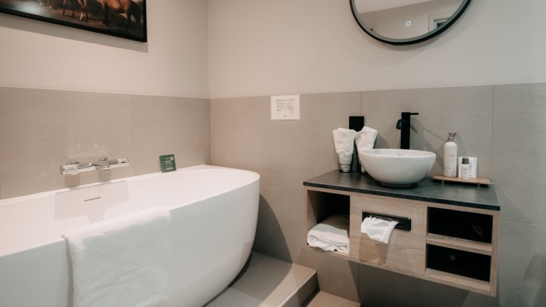 Welsh kamer met bad - Witte Berken Natuurhotel