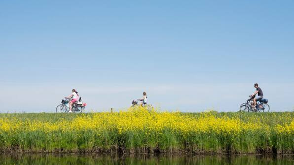 Omgeving - Vodatent Glamping Mooirust