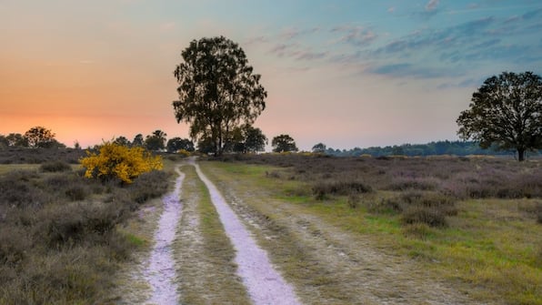 Omgeving - Vodatent Glamping Mooirust