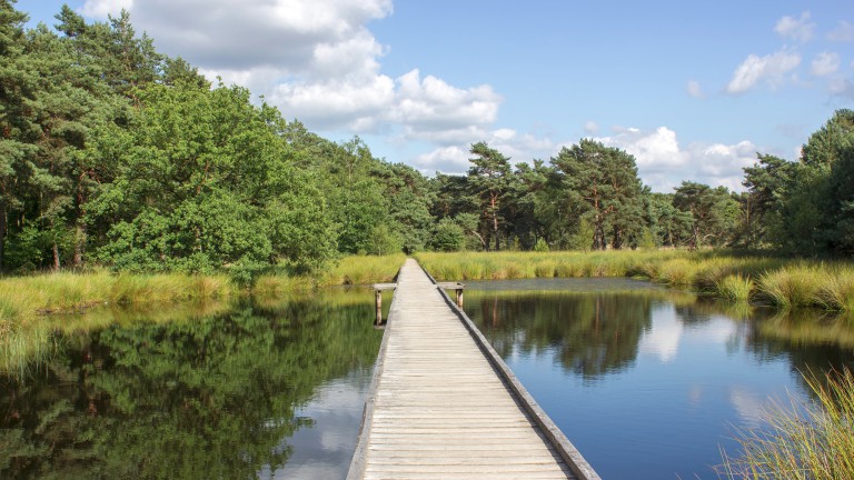 National Park Die Maasduinen - Bed and Breakfast Bourgondisch Lomm