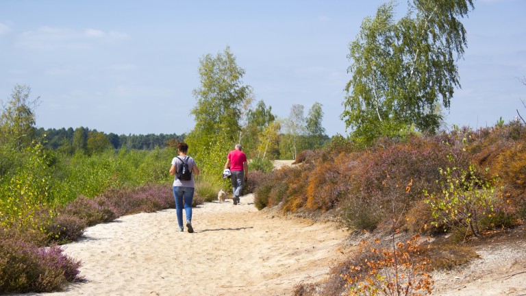 National Park Die Maasduinen - Bed and Breakfast Bourgondisch Lomm