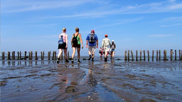 Wadlopen - Hotel Waddengenot