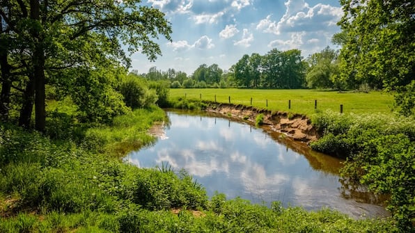 Omgeving - Hofparken de Bergvennen