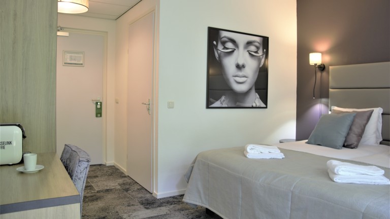 Deluxe kamer met terras - Hotel en Restaurant Wildthout