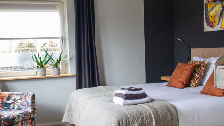 Luxe twin kamer - Bed and Breakfast Pension Perruque
