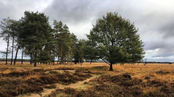 Omgeving - Park Drentheland