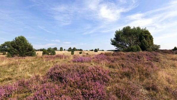 Lüneburger Heide - Landhotel Schnuck