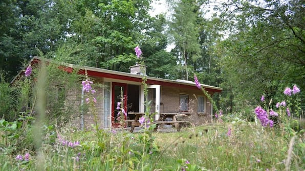 Bungalow Taxus - Landgoed Stakenberg