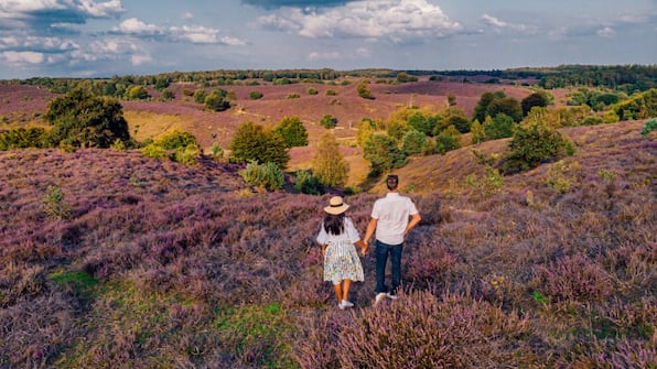 Omgeving - Landgoed Stakenberg