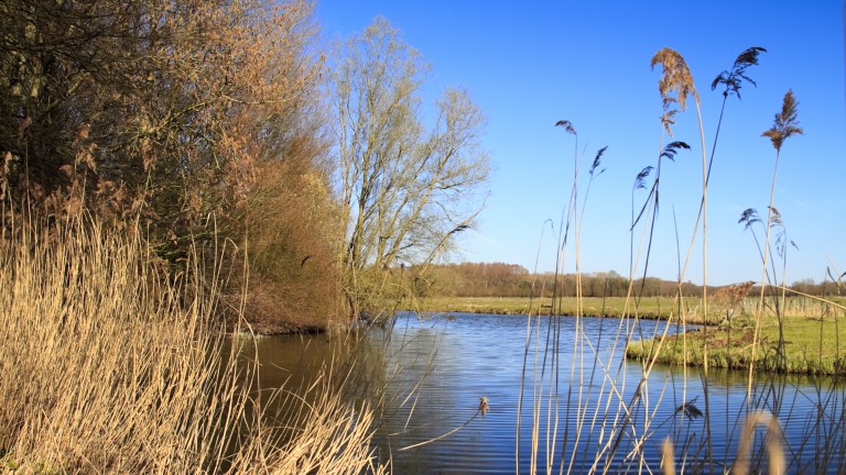 Nationaal Park De Biesbosch - Van der Valk Hotel Ridderkerk