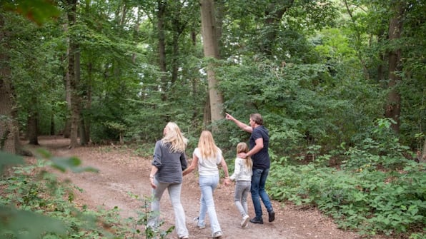 Omgeving - TopParken Recreatiepark de Wielerbaan