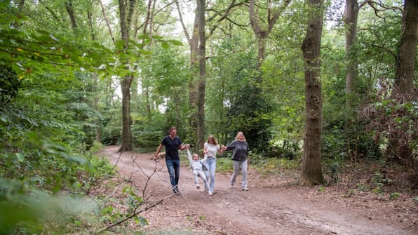 Omgeving - TopParken Recreatiepark de Wielerbaan