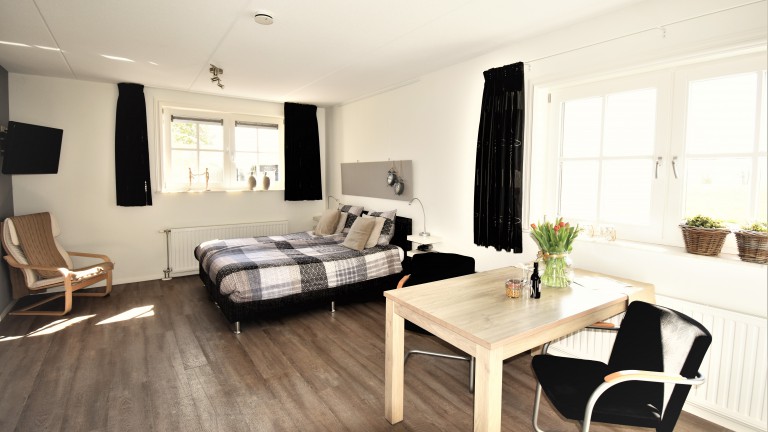 Luxe kamer - Bed and Breakfast De Beddestee