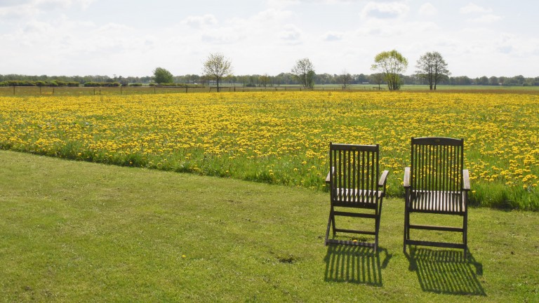 Uitzicht - Bed and Breakfast De Beddestee