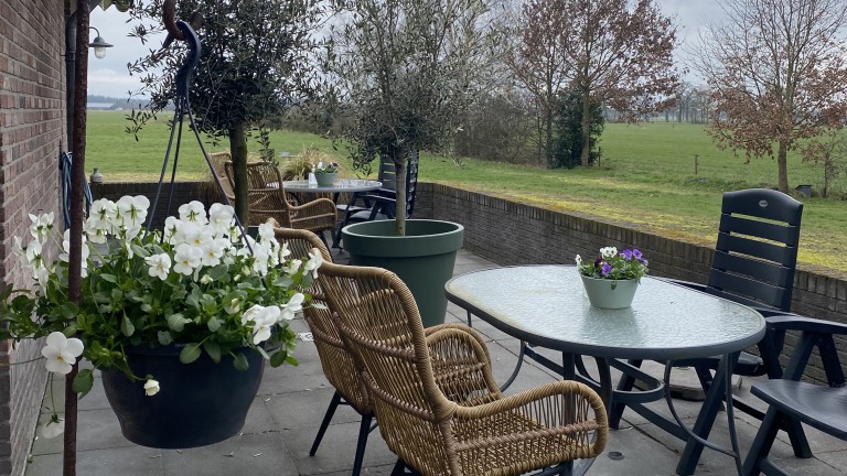 Terras - Bed and Breakfast De Beddestee