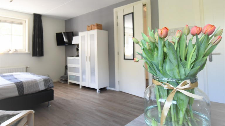 Luxe kamer - Bed and Breakfast De Beddestee