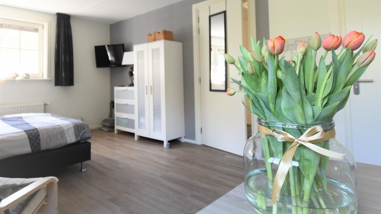 Luxe kamer - Bed and Breakfast De Beddestee