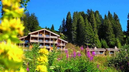 Außenbereich - Resort Les Portes Du Grand Massif