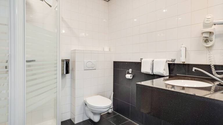 Comfort kamer - Hotel Bieze