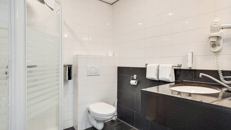 Comfort kamer - Hotel Bieze