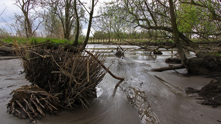 Biesbosch - De Brabantse Biesbosch