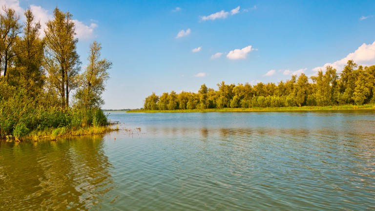 Biesbosch - De Brabantse Biesbosch