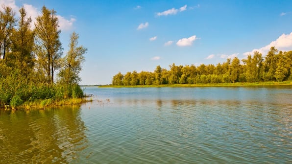 Biesbosch - De Brabantse Biesbosch