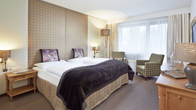 Standardzimmer Alpenwohnung S – Das Alpenhaus Kaprun