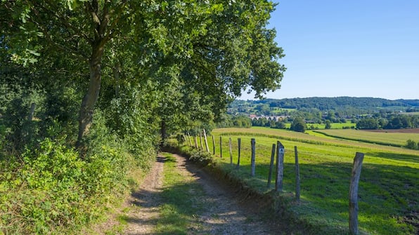 Omgeving - Huis ter Geul