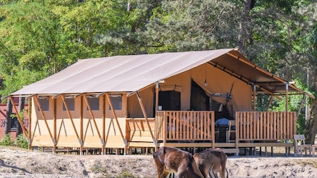 Außenansicht - Safari Resort Beekse Bergen