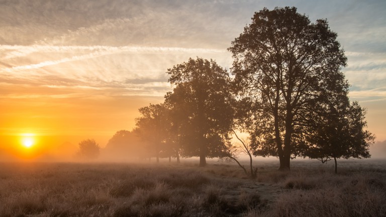Omgeving - Bed and Breakfast De Beddestee