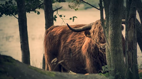 Roden - Cuisinerie Mensinge Roden - Cuisinerie Mensinge