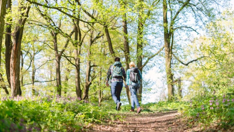 Wandelen - De Koepoort