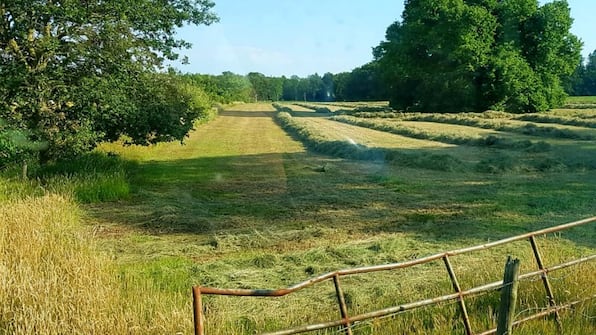 Omgeving - Recreatiepark de Bosrand