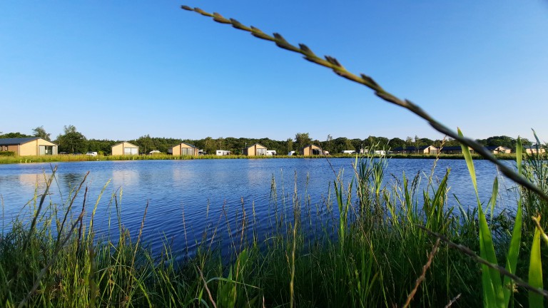 Teich - Recreatiepark de Bosrand