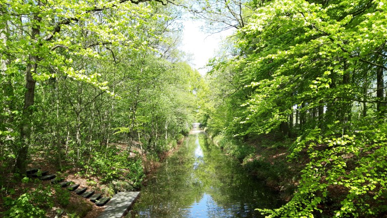 Umwelt - Recreatiepark de Bosrand