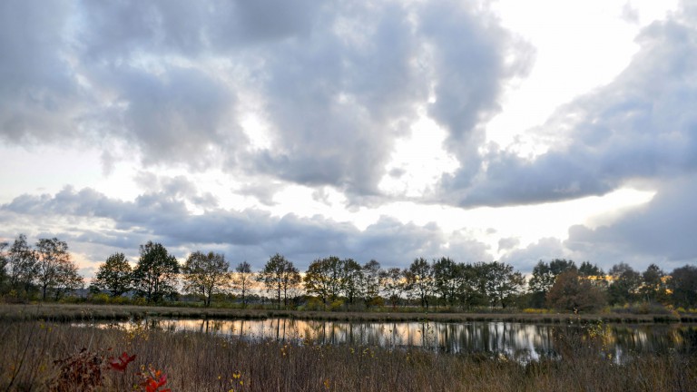 Vakantiepark Drentse Vennen