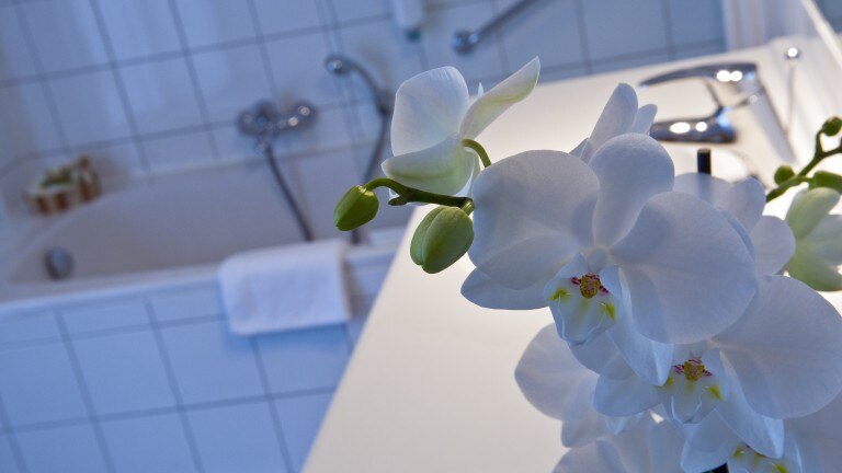 Charme kamer  - Cocoon Hotel Belair