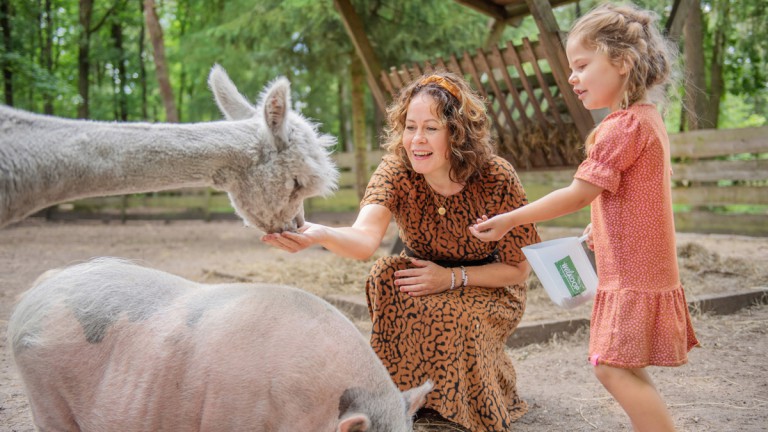Dierenweide - Vakantiepark de Jagerstee