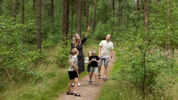 Umgebung - Ferienpark der Jagerstee