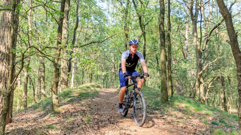 Omgeving - Vakantiepark de Noordster