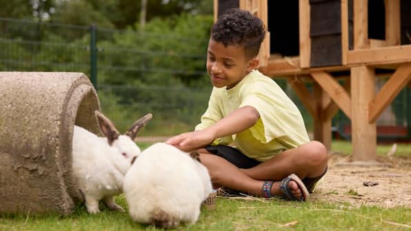 Dierenweide - Vakantiepark de Noordster