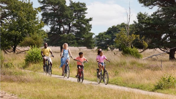 Omgeving - Vakantiepark de Noordster