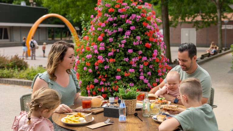 Terrasse - RCN Vakantiepark het Grote Bos